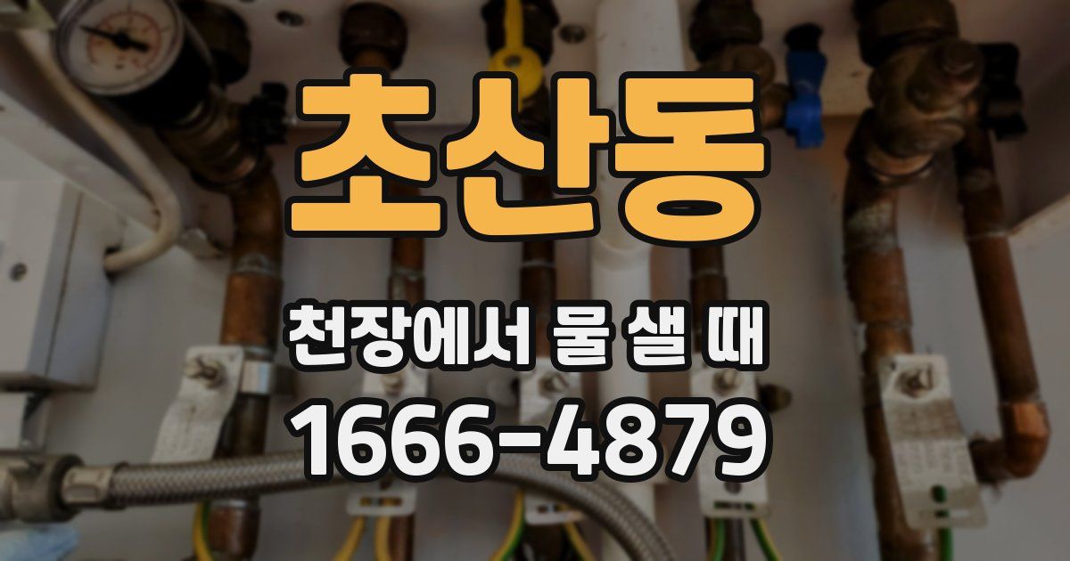 초산동 천장에서 물 샐 때