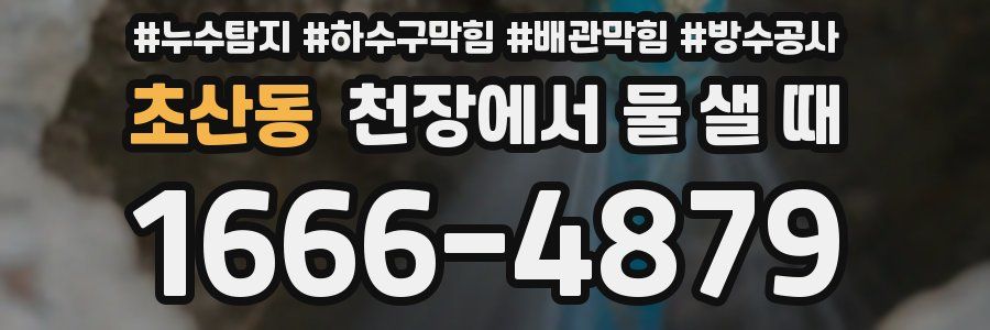 초산동 천장에서 물 샐 때