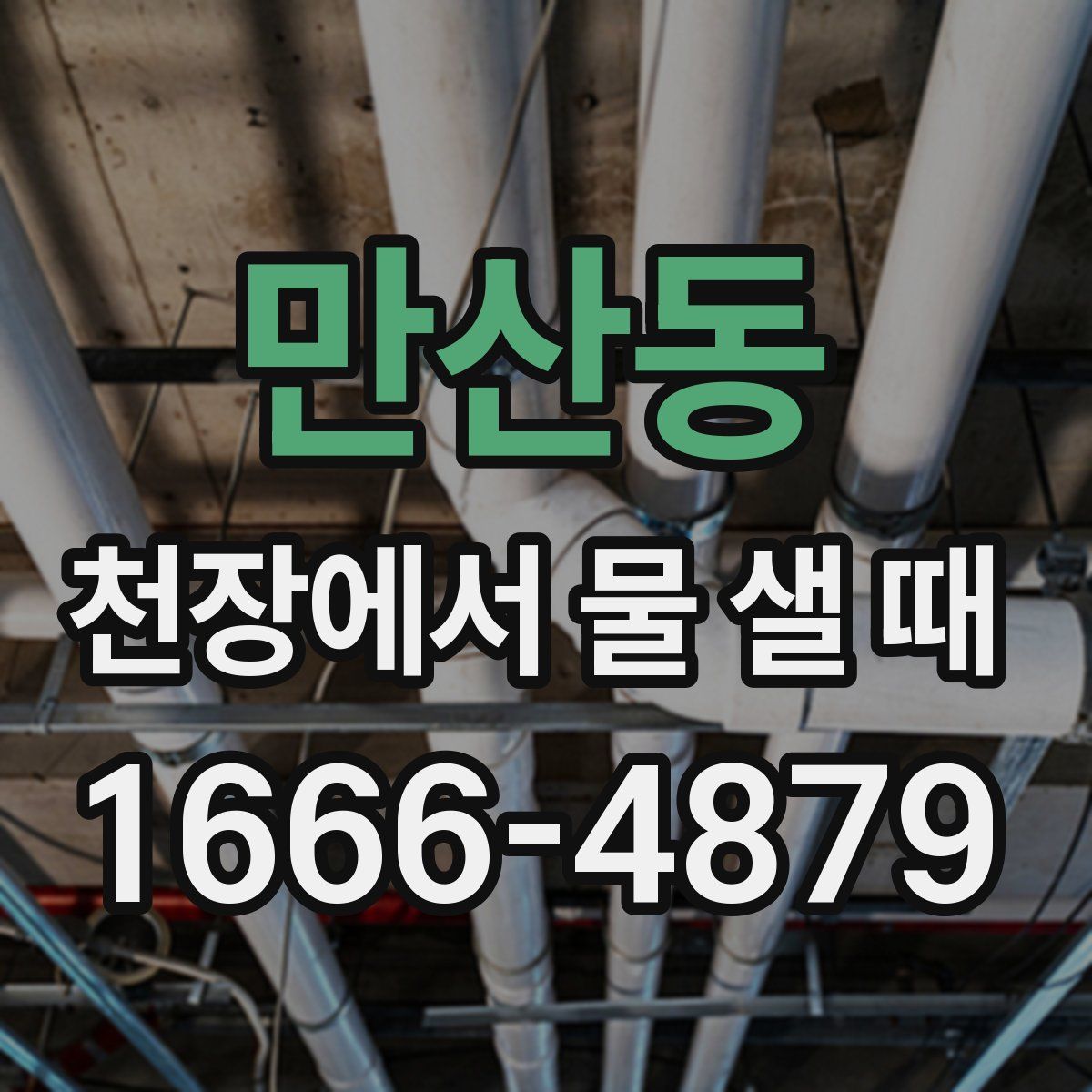만산동 천장에서 물 샐 때