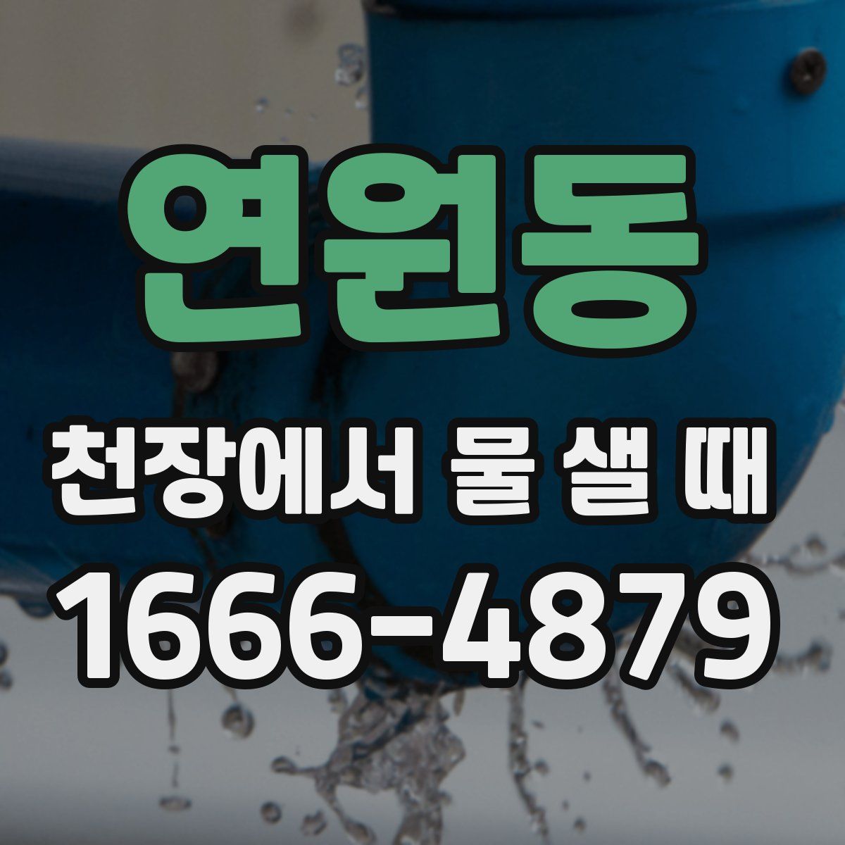 연원동 천장에서 물 샐 때