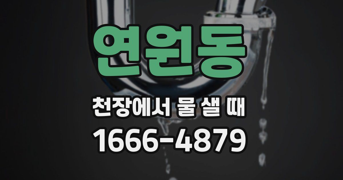 연원동 천장에서 물 샐 때