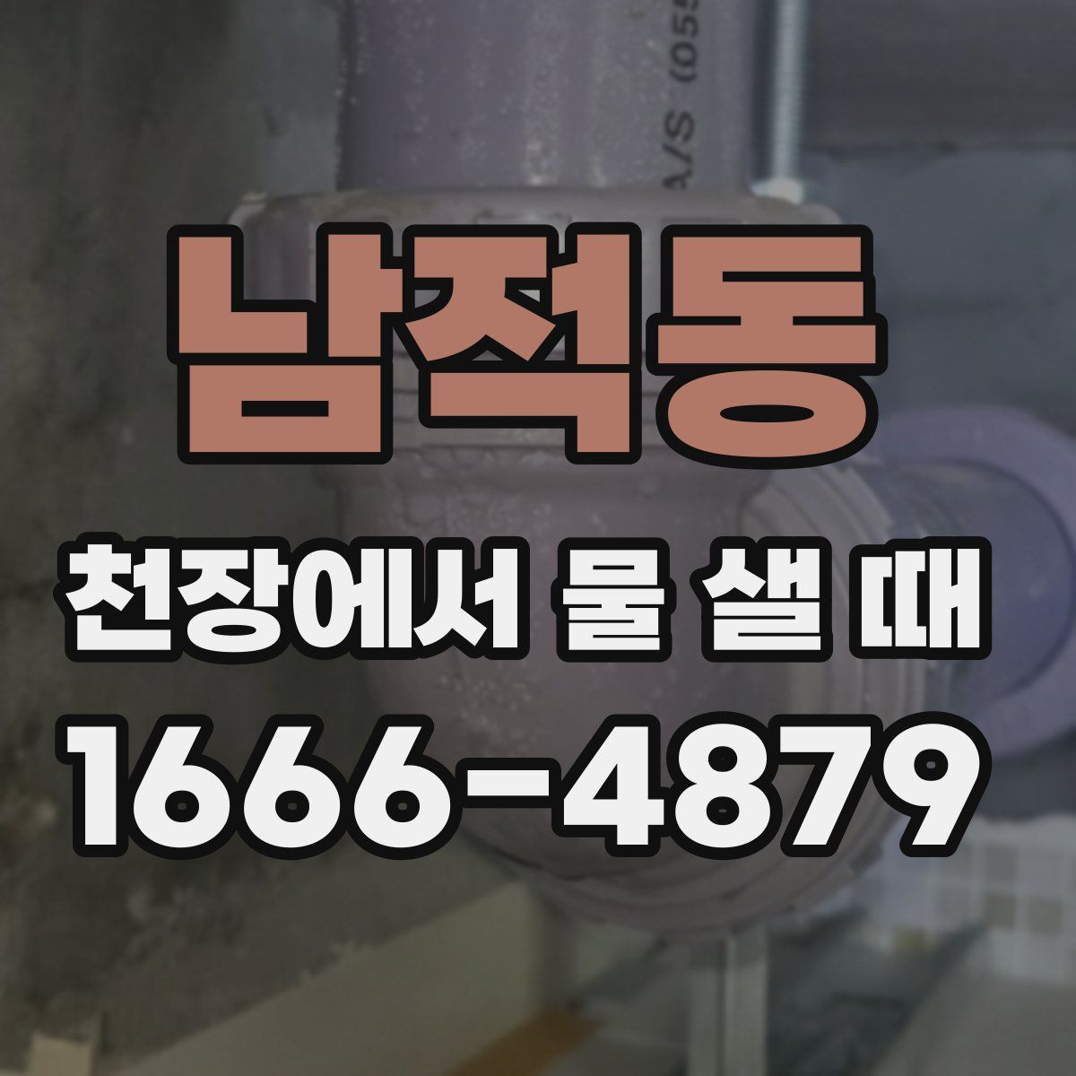 남적동 천장에서 물 샐 때