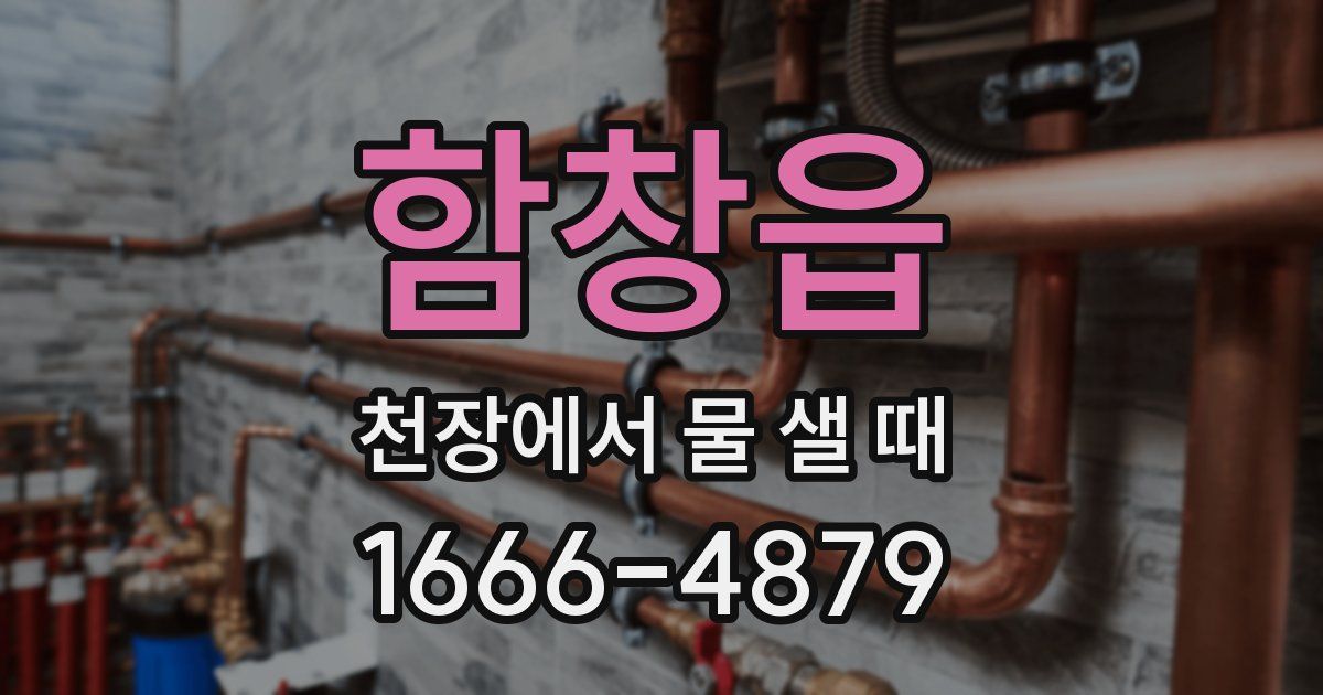 함창읍 천장에서 물 샐 때