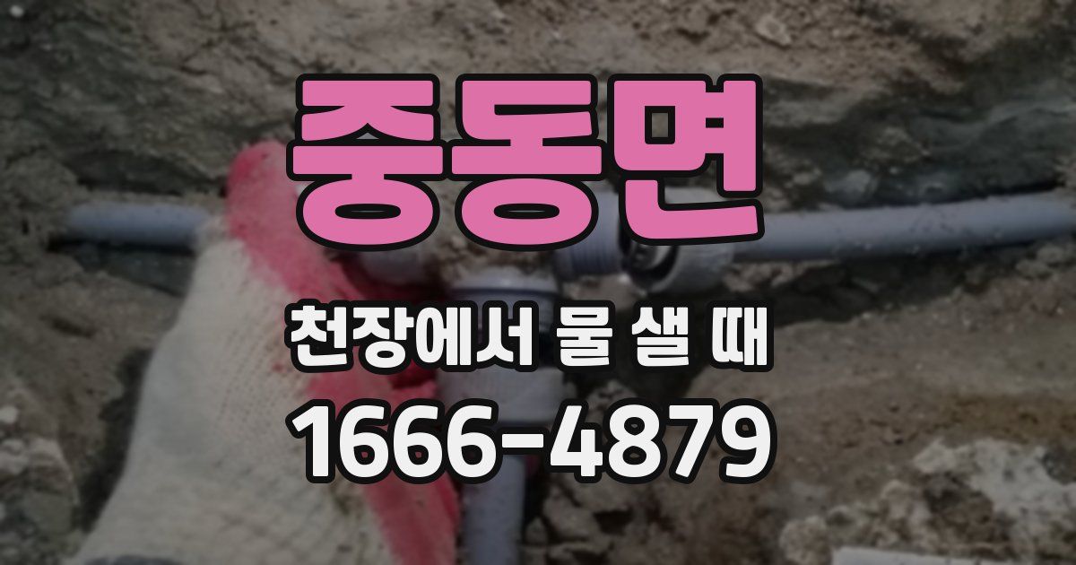 중동면 천장에서 물 샐 때