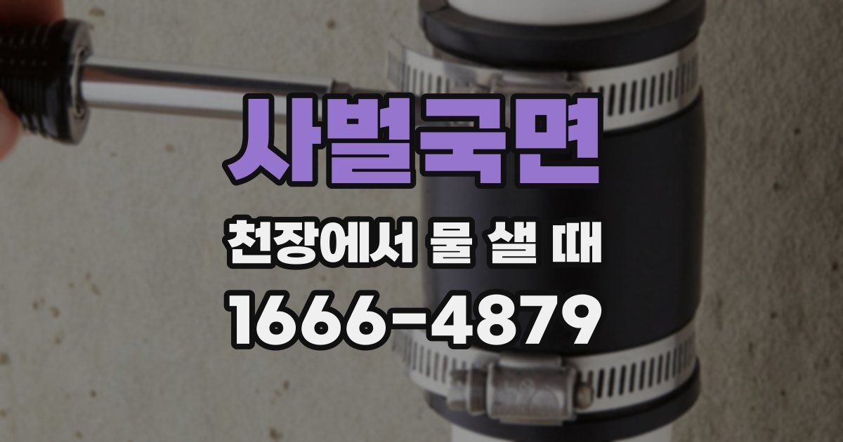 사벌국면 천장에서 물 샐 때