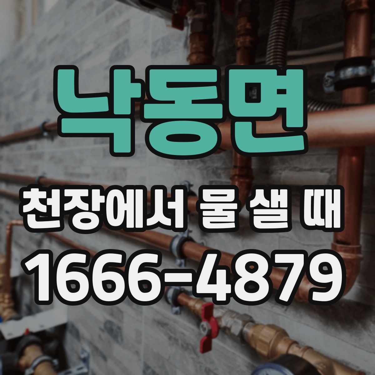 낙동면 천장에서 물 샐 때