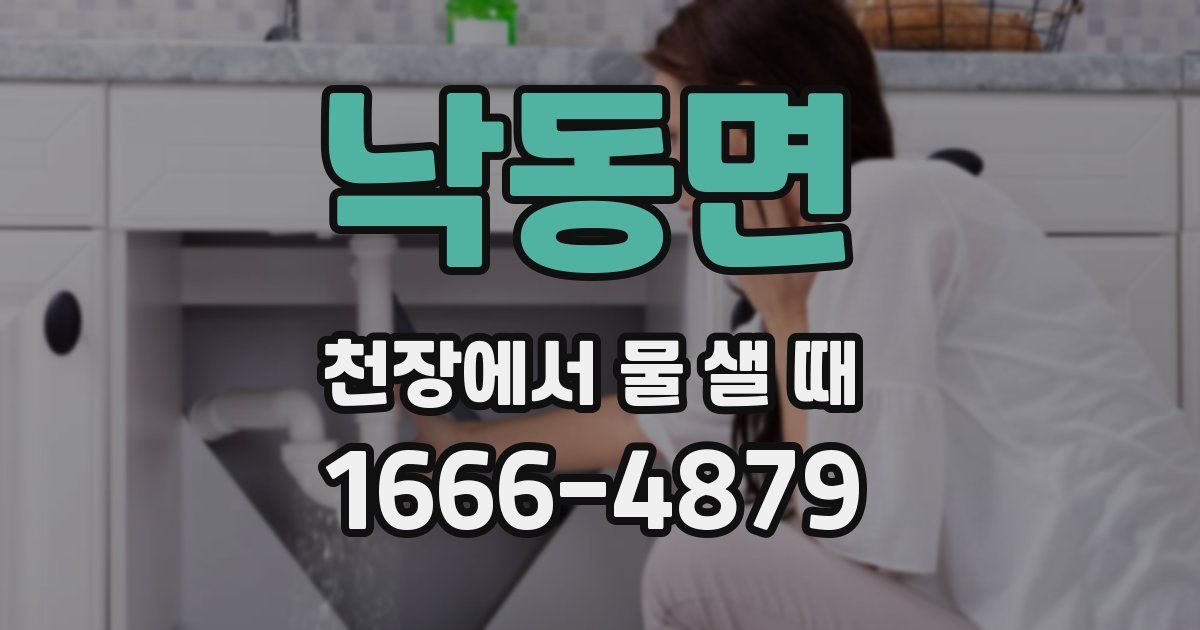 낙동면 천장에서 물 샐 때