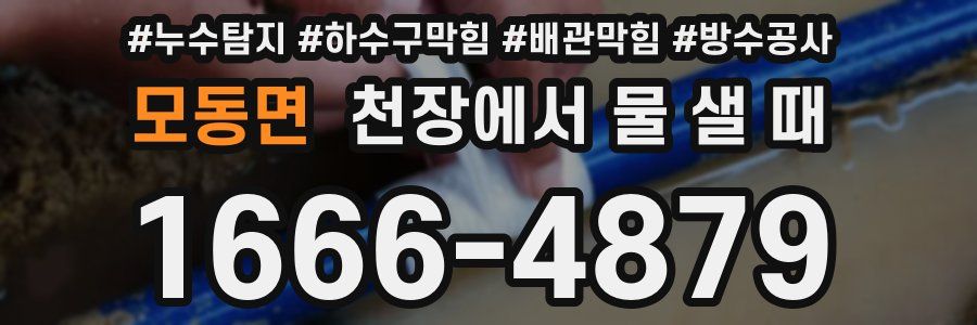 모동면 천장에서 물 샐 때