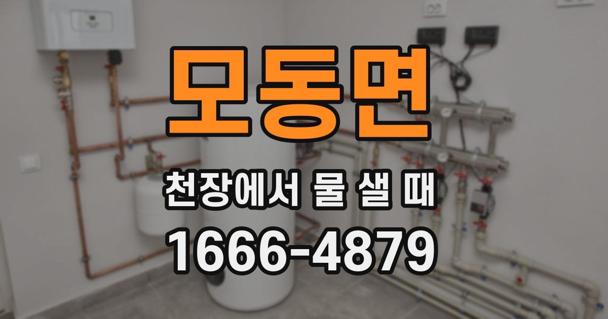 모동면 천장에서 물 샐 때