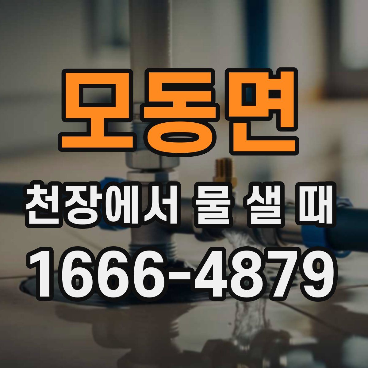 모동면 천장에서 물 샐 때