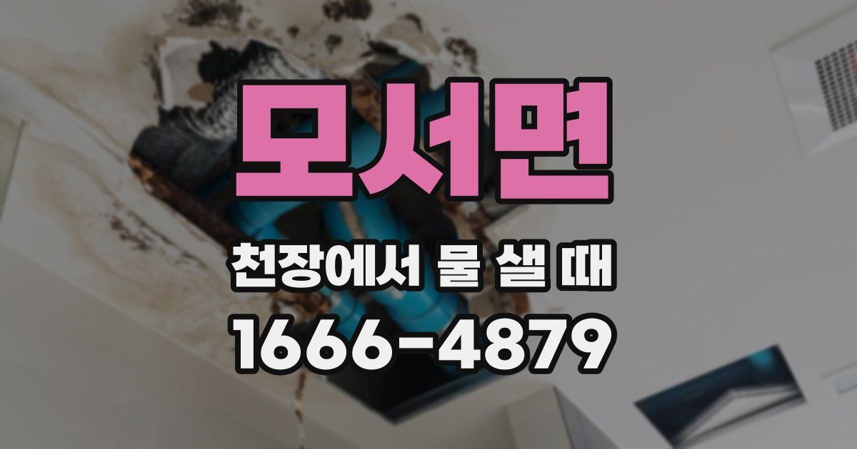 모서면 천장에서 물 샐 때