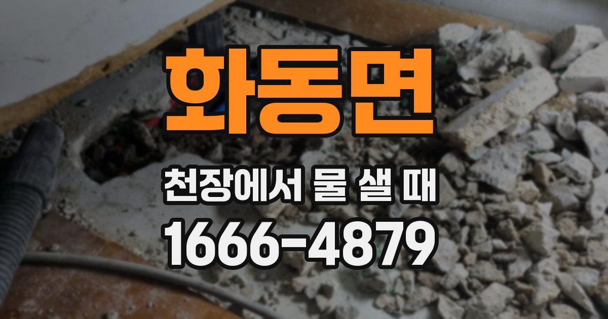화동면 천장에서 물 샐 때