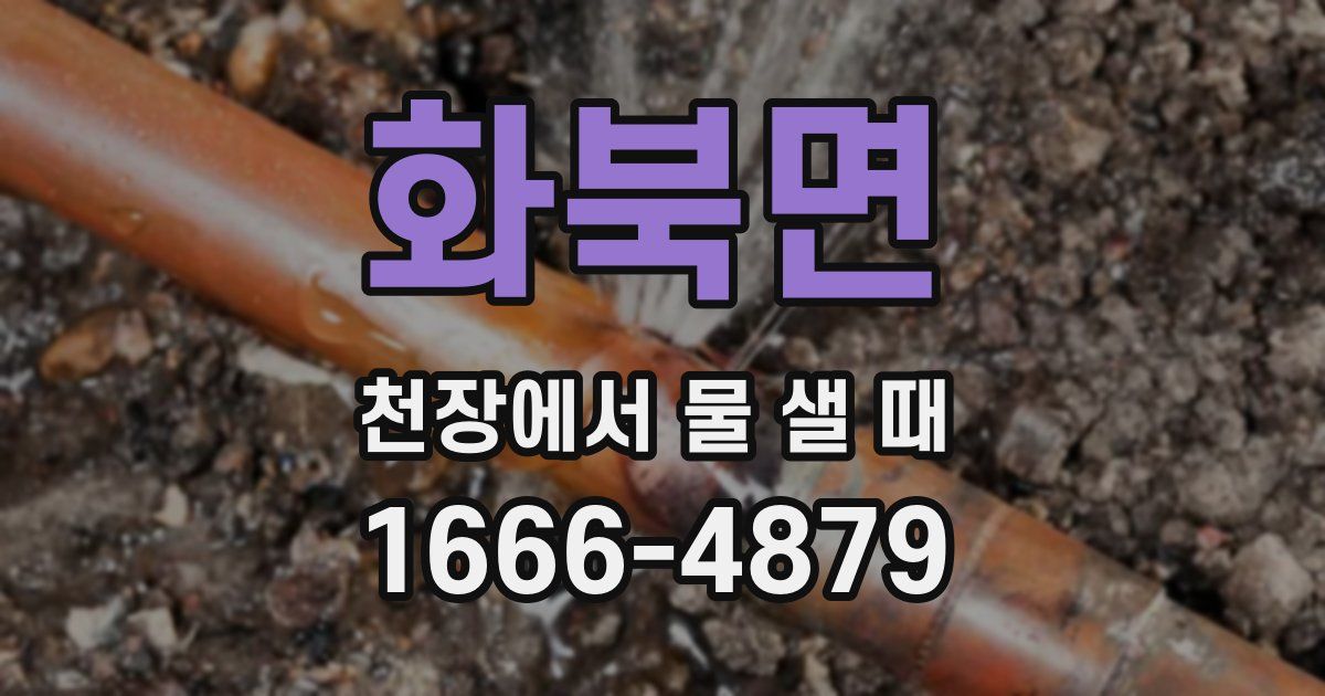 화북면 천장에서 물 샐 때
