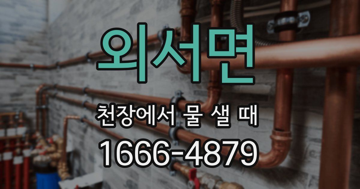 외서면 천장에서 물 샐 때