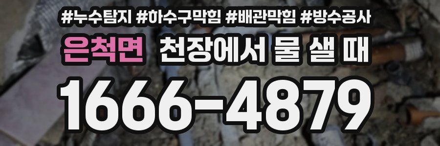 은척면 천장에서 물 샐 때