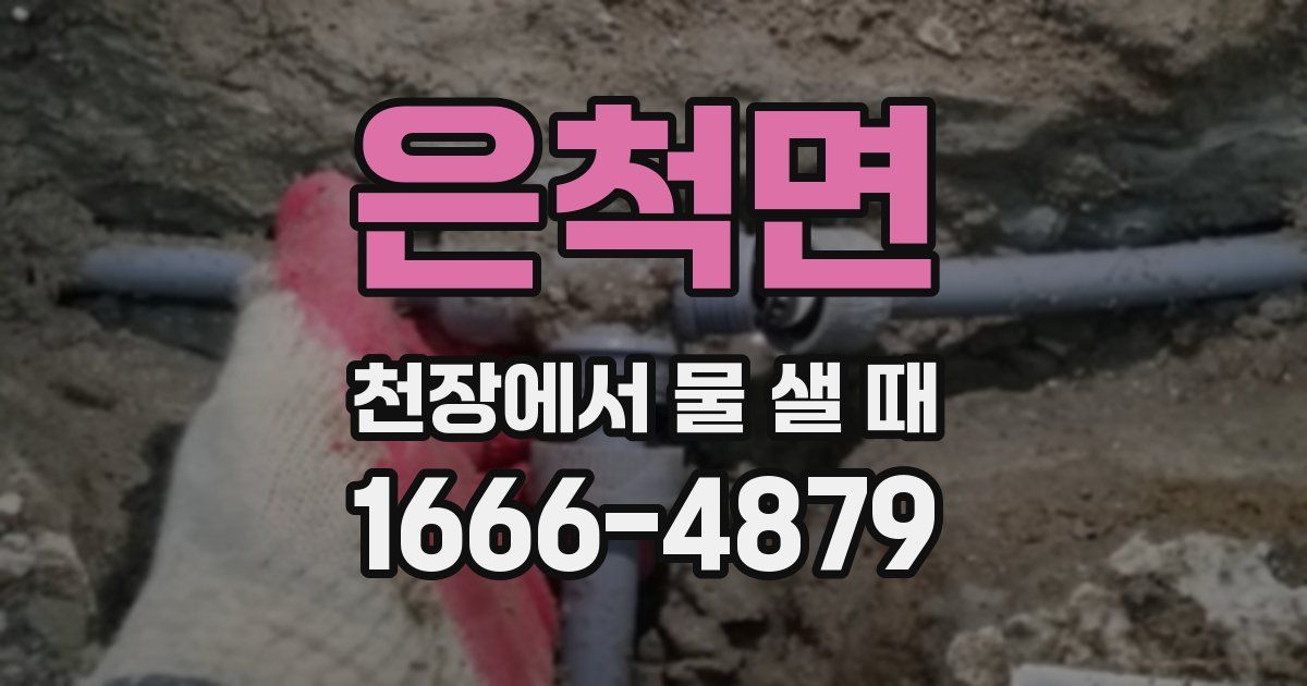 은척면 천장에서 물 샐 때