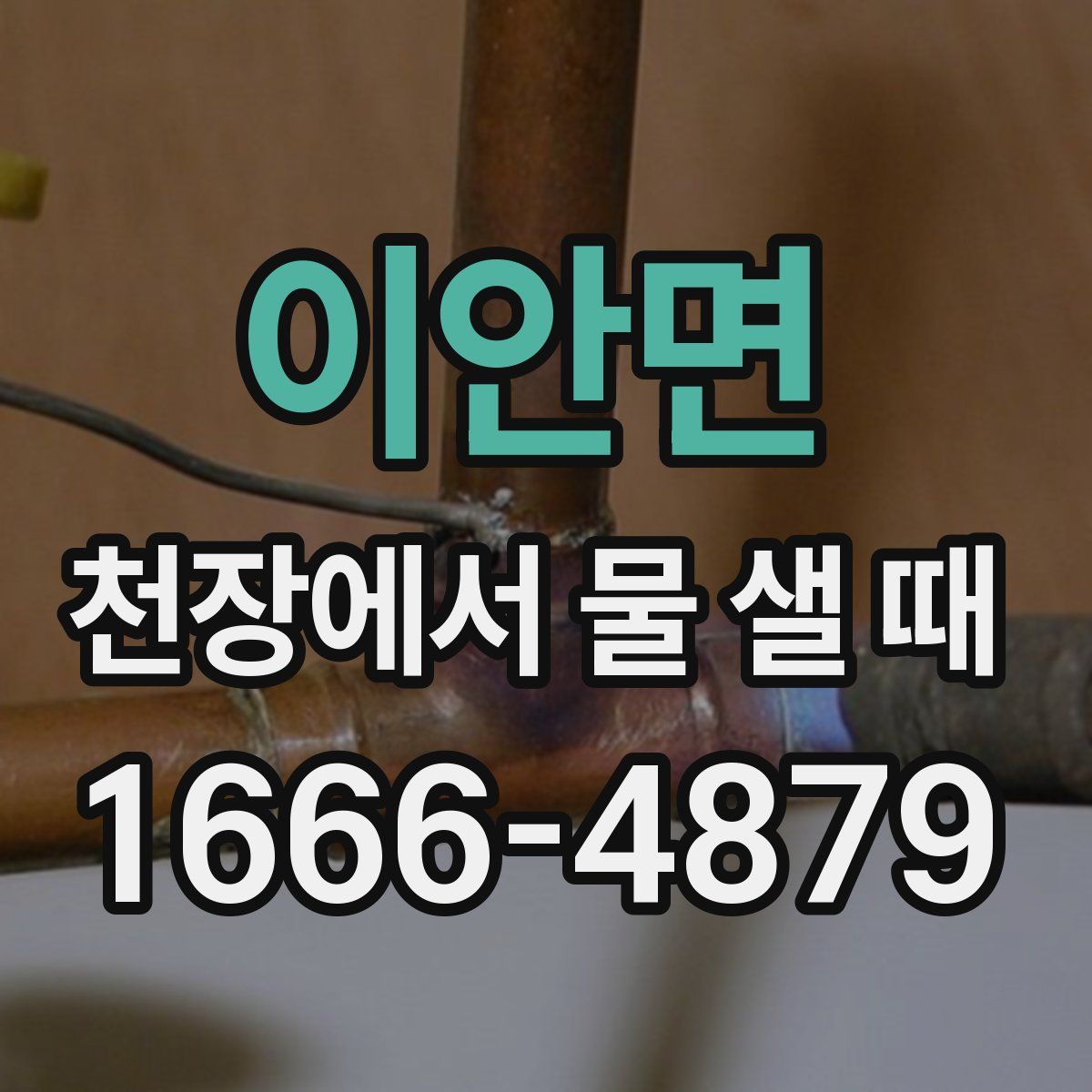 이안면 천장에서 물 샐 때