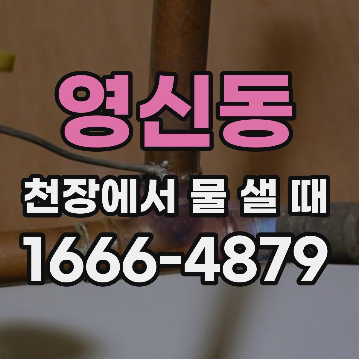 영신동 천장에서 물 샐 때