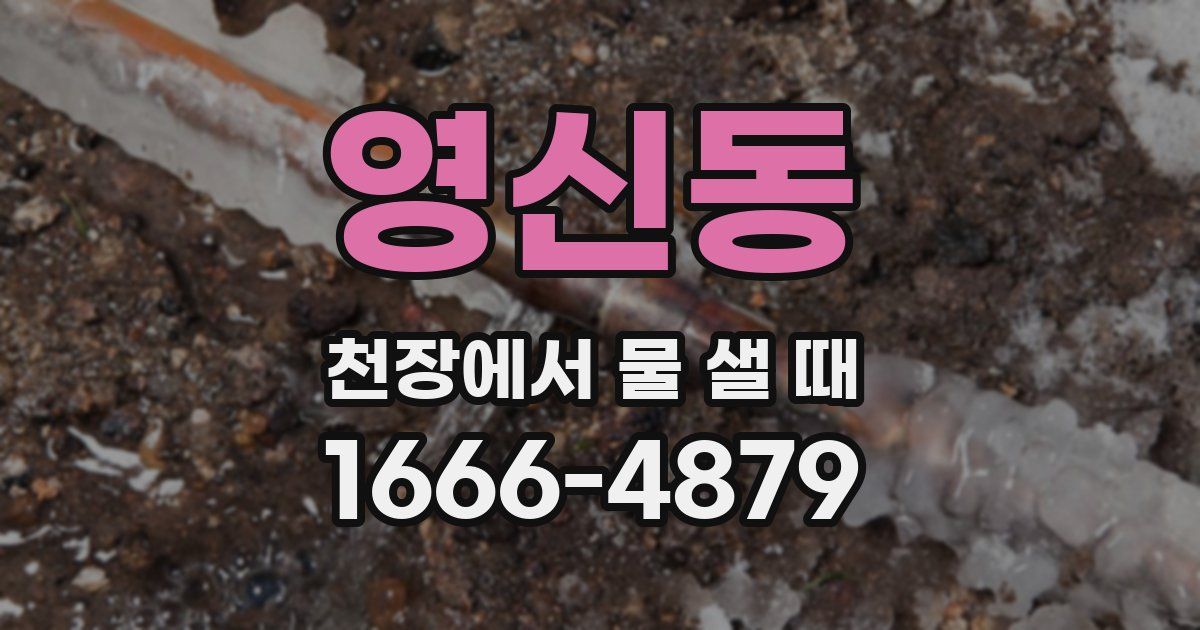 영신동 천장에서 물 샐 때