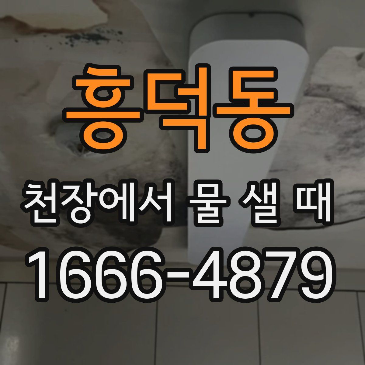 흥덕동 천장에서 물 샐 때
