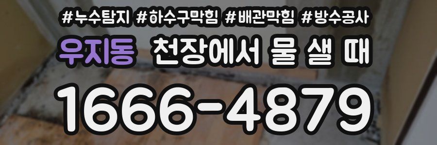 우지동 천장에서 물 샐 때