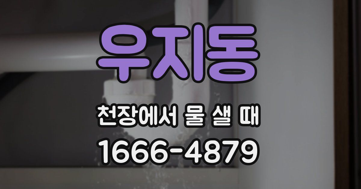 우지동 천장에서 물 샐 때
