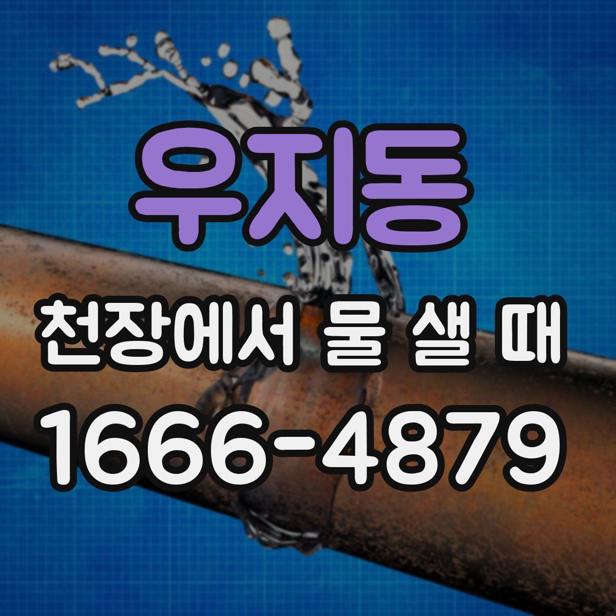 우지동 천장에서 물 샐 때