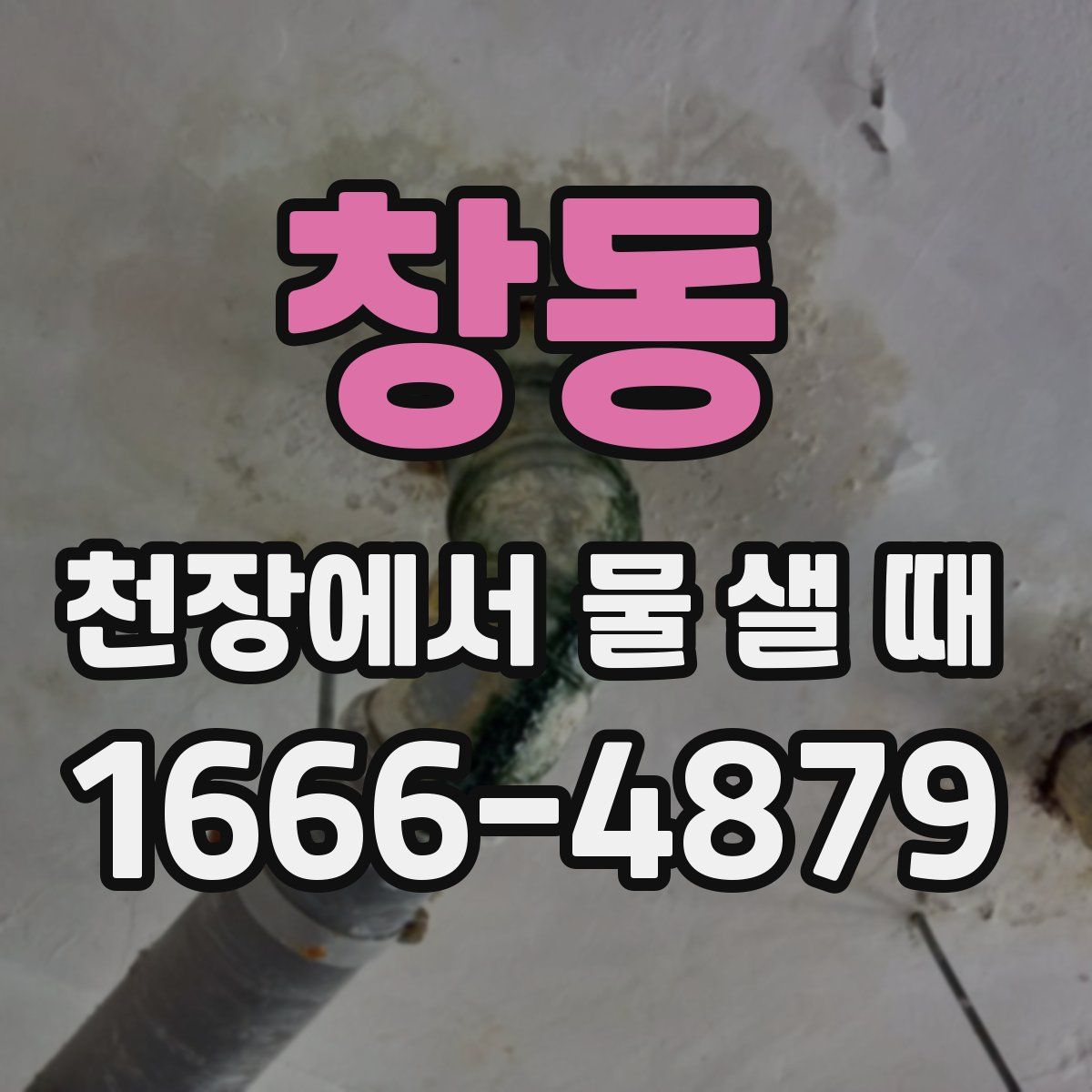 창동 천장에서 물 샐 때