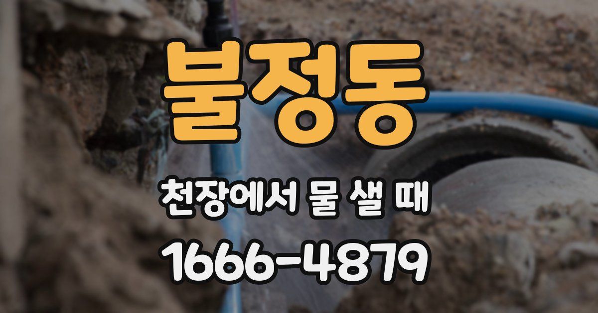 불정동 천장에서 물 샐 때
