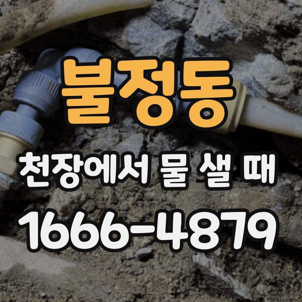 불정동 천장에서 물 샐 때