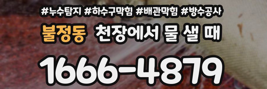 불정동 천장에서 물 샐 때