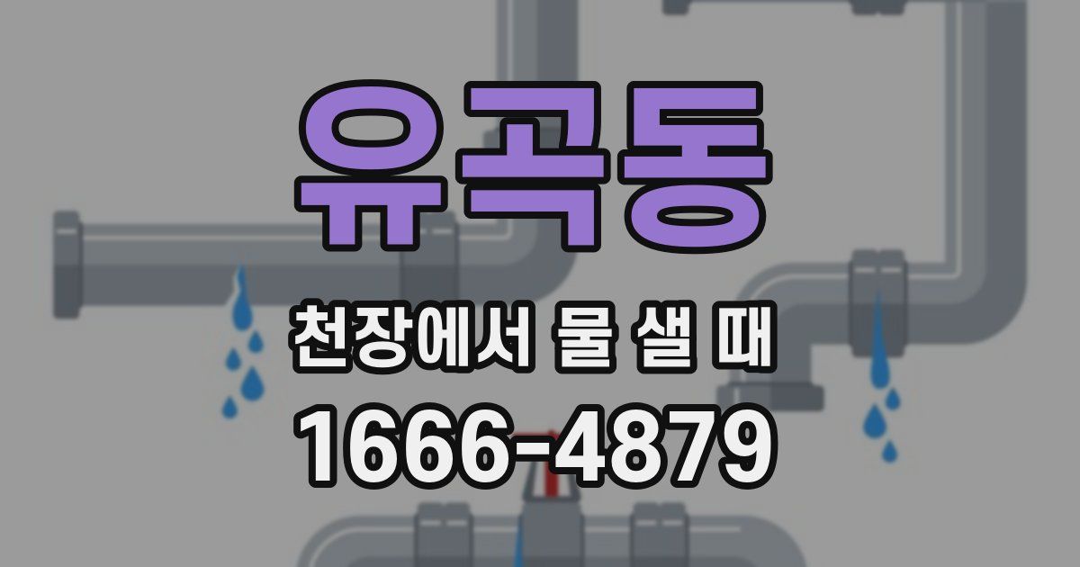 유곡동 천장에서 물 샐 때