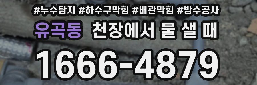 유곡동 천장에서 물 샐 때