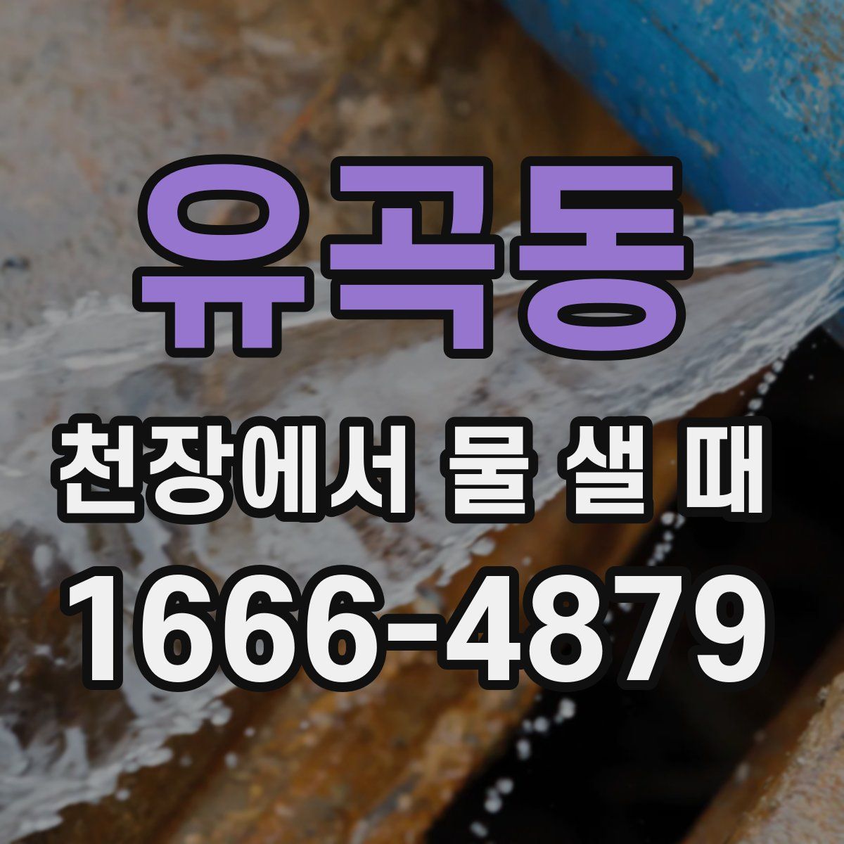 유곡동 천장에서 물 샐 때