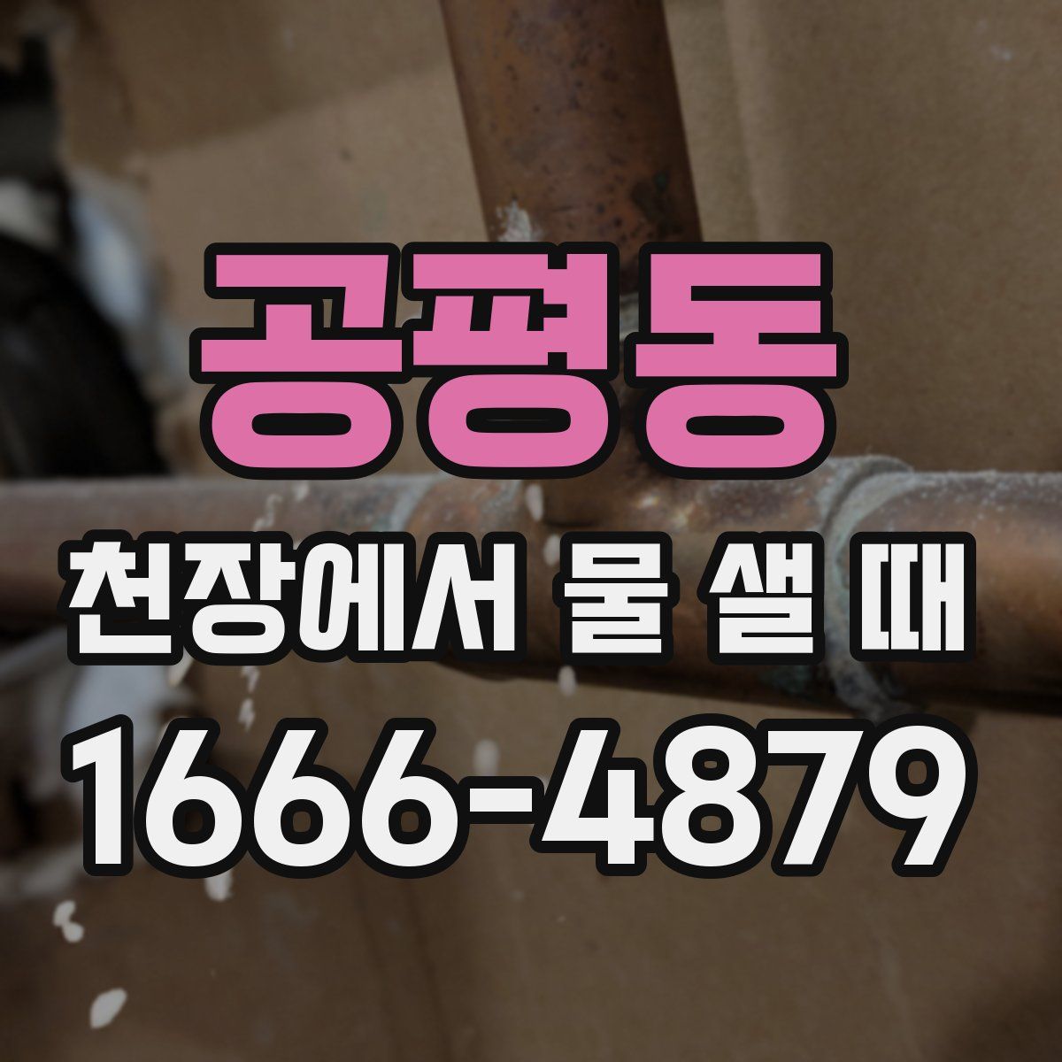 공평동 천장에서 물 샐 때