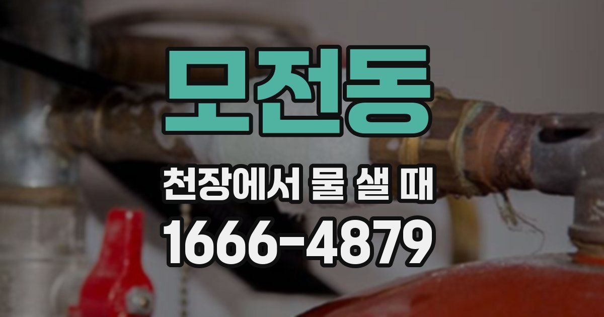 모전동 천장에서 물 샐 때