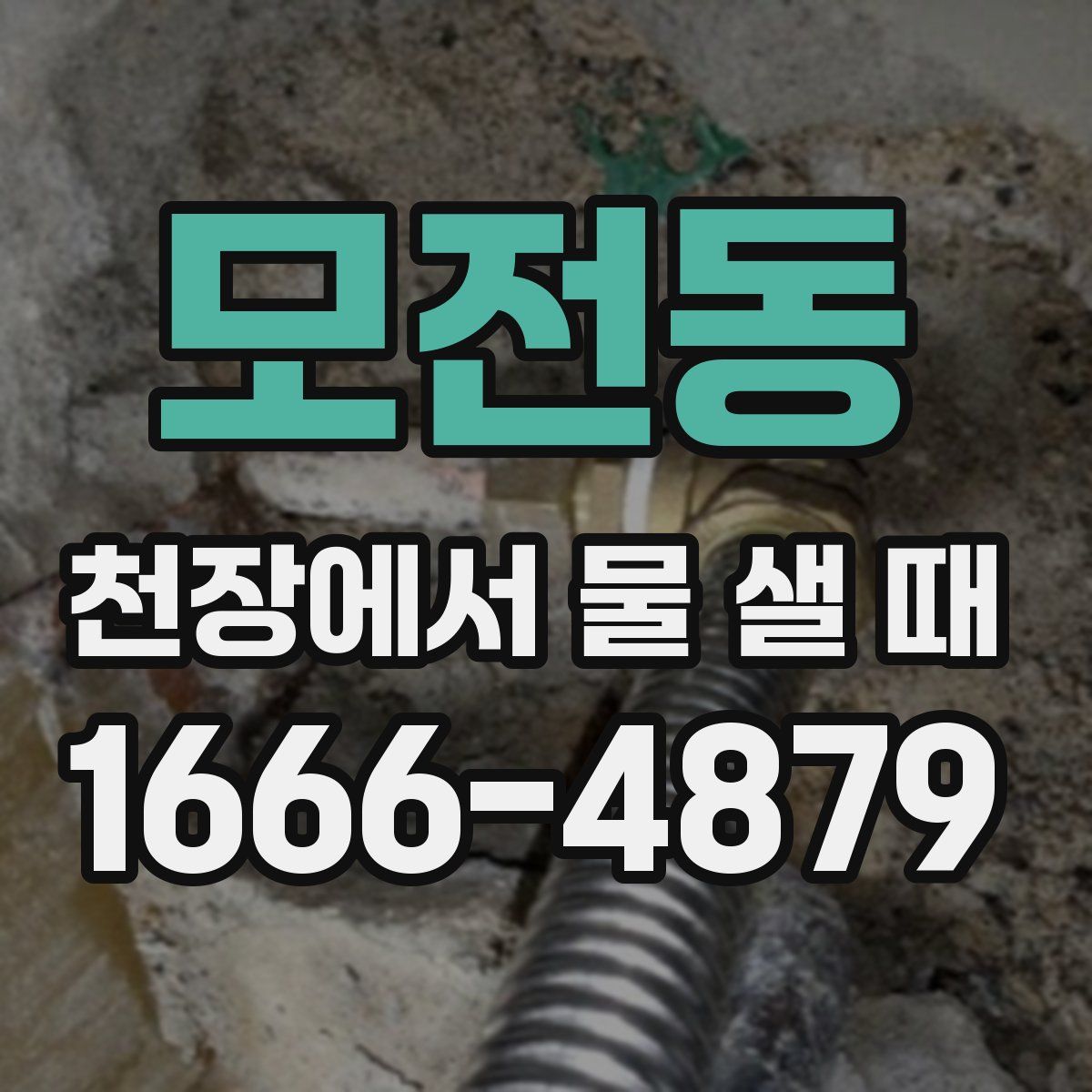 모전동 천장에서 물 샐 때