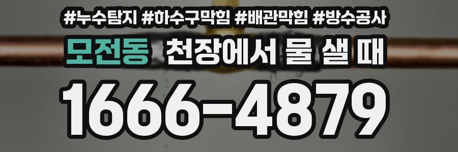 모전동 천장에서 물 샐 때