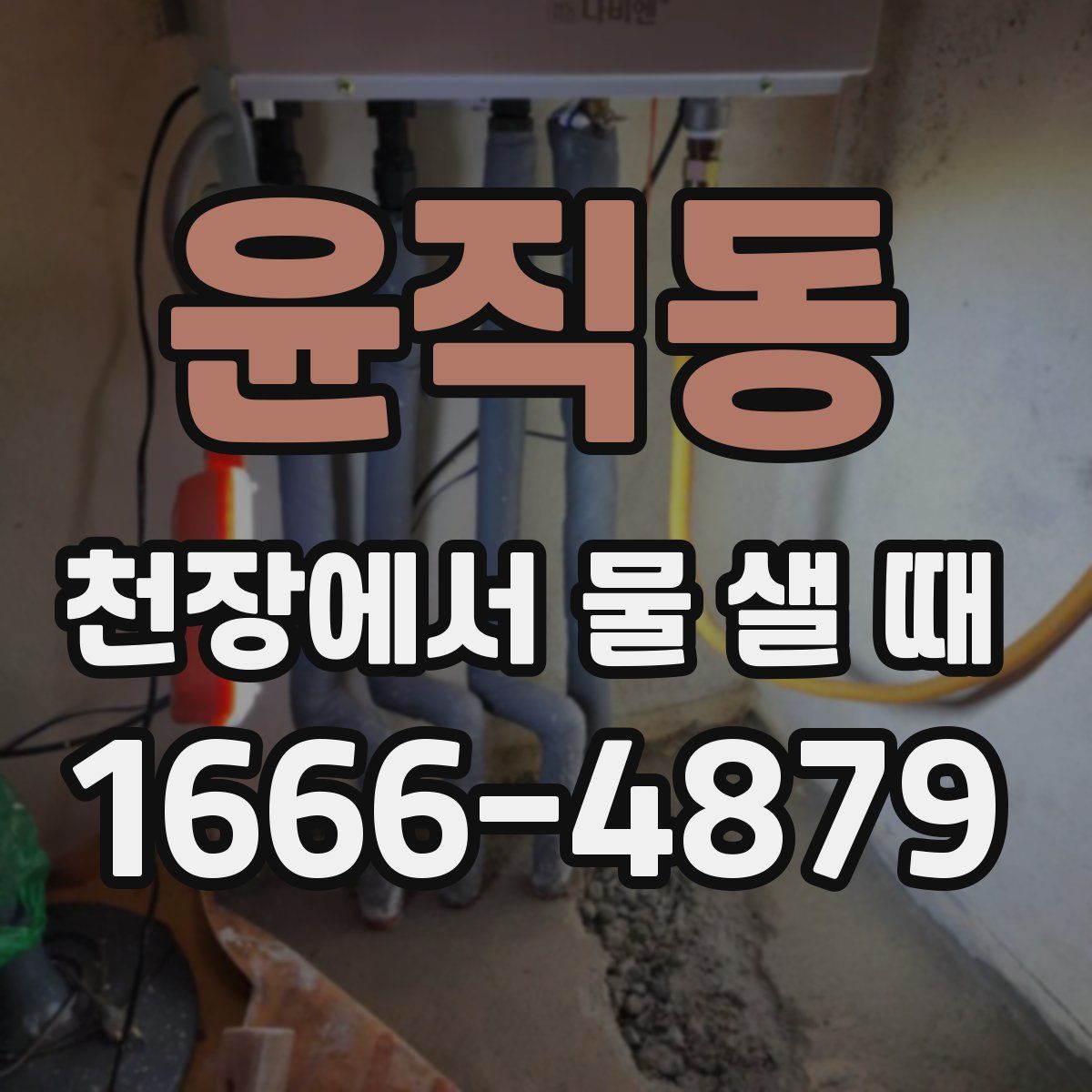윤직동 천장에서 물 샐 때