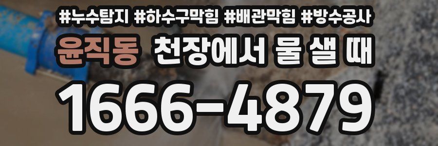 윤직동 천장에서 물 샐 때