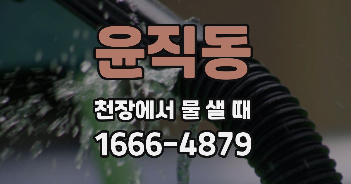윤직동 천장에서 물 샐 때
