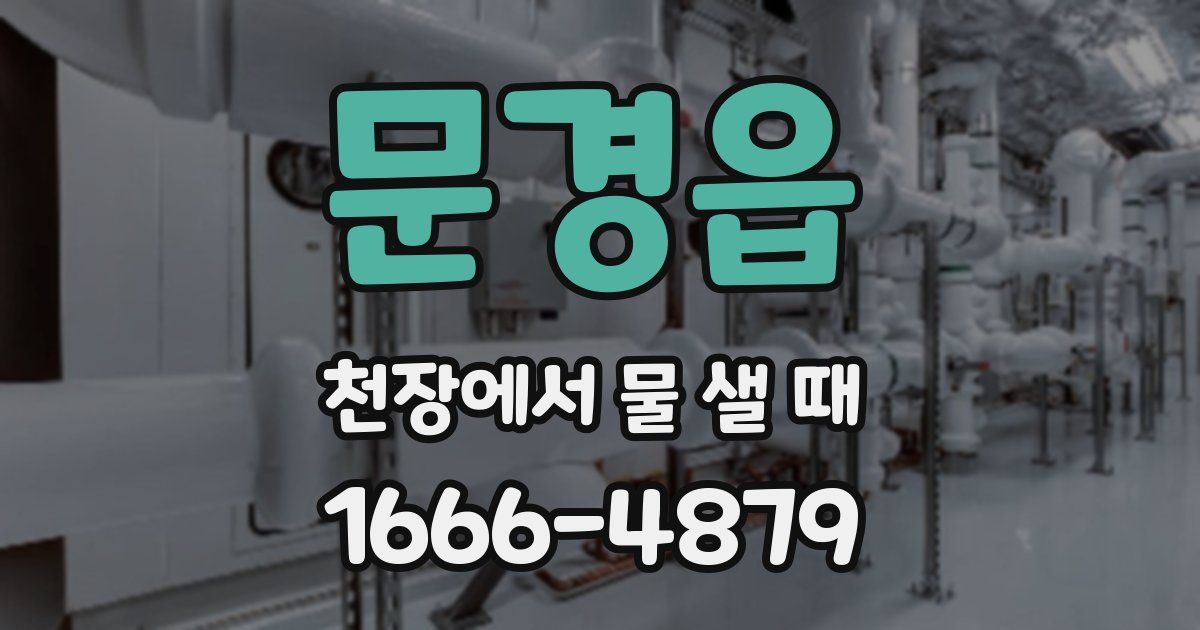 문경읍 천장에서 물 샐 때