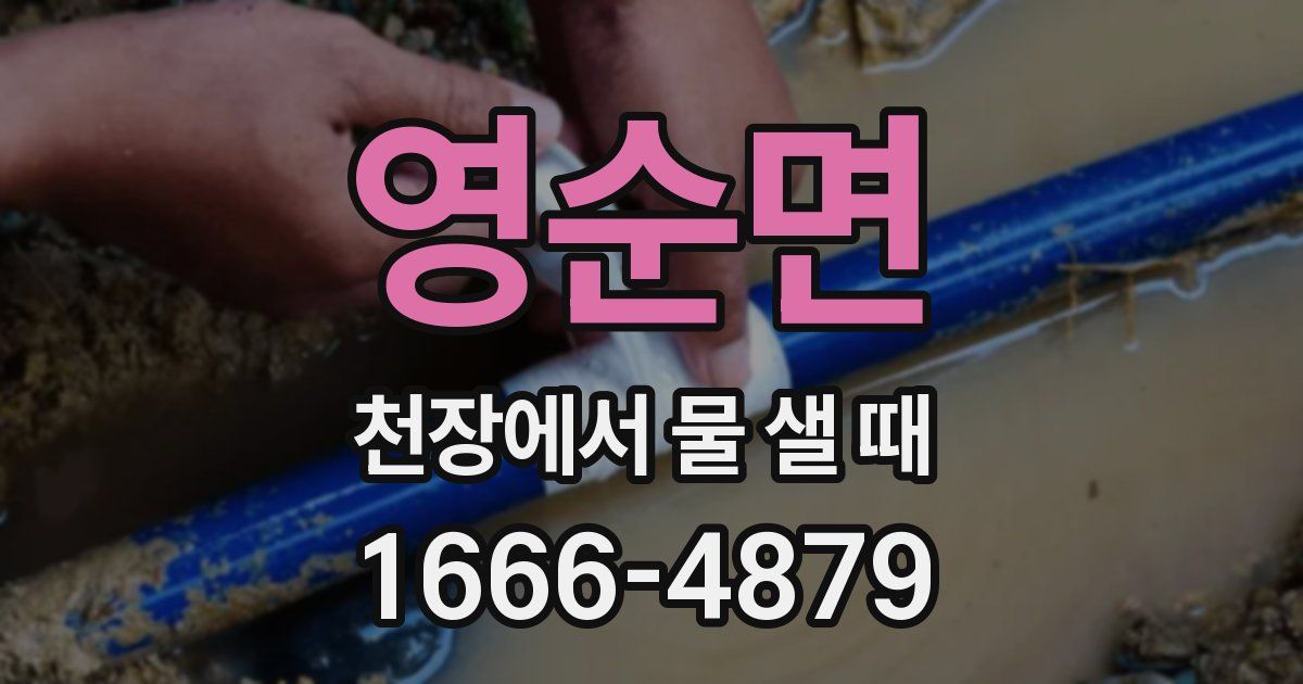 영순면 천장에서 물 샐 때