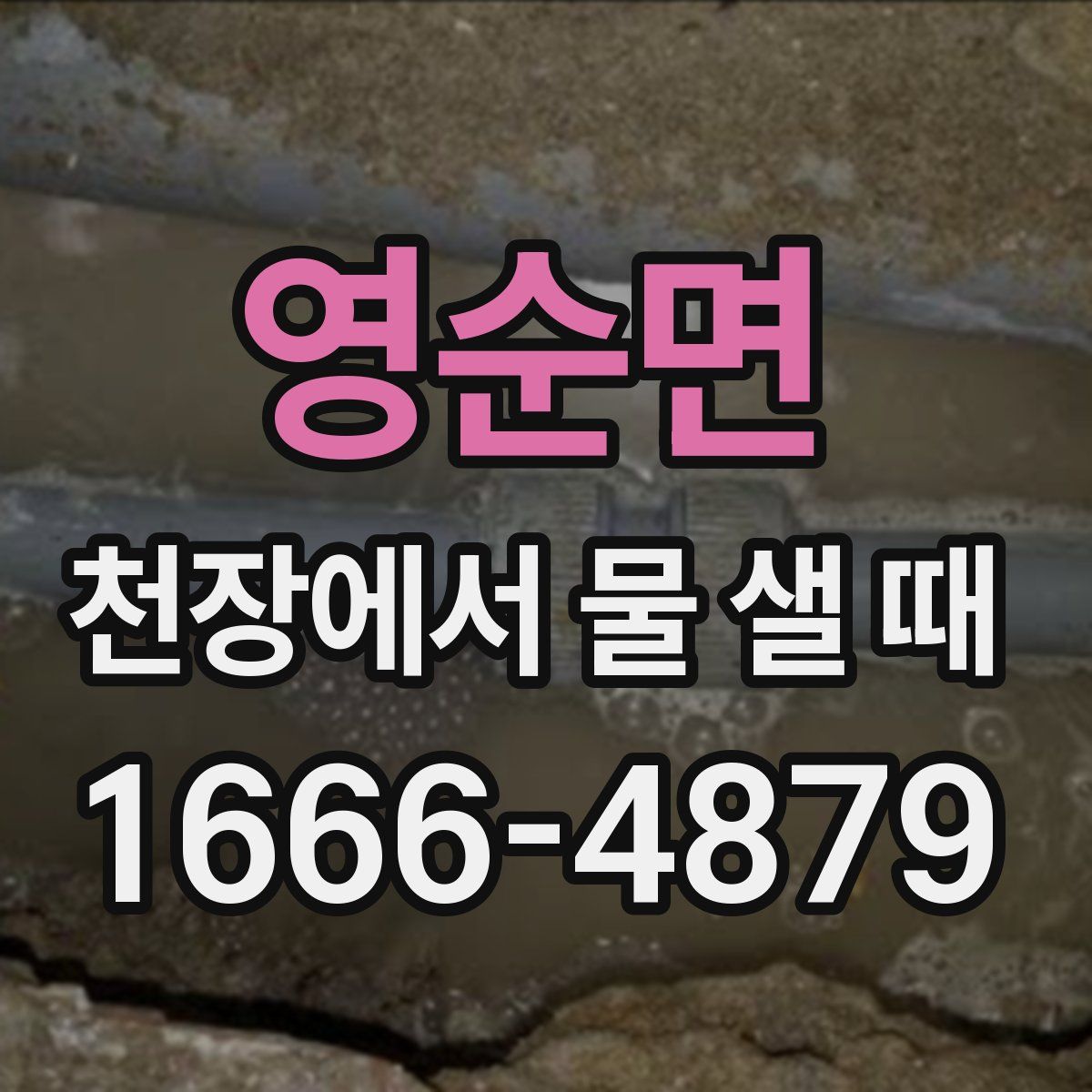 영순면 천장에서 물 샐 때