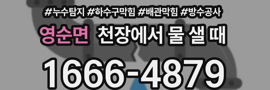 영순면 천장에서 물 샐 때