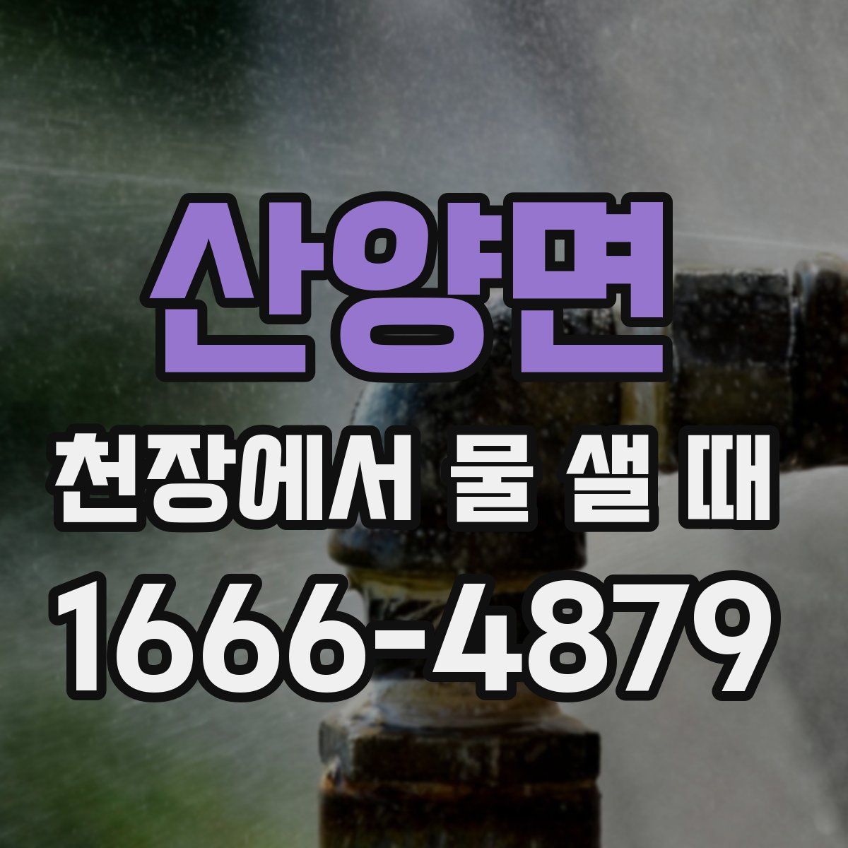 산양면 천장에서 물 샐 때