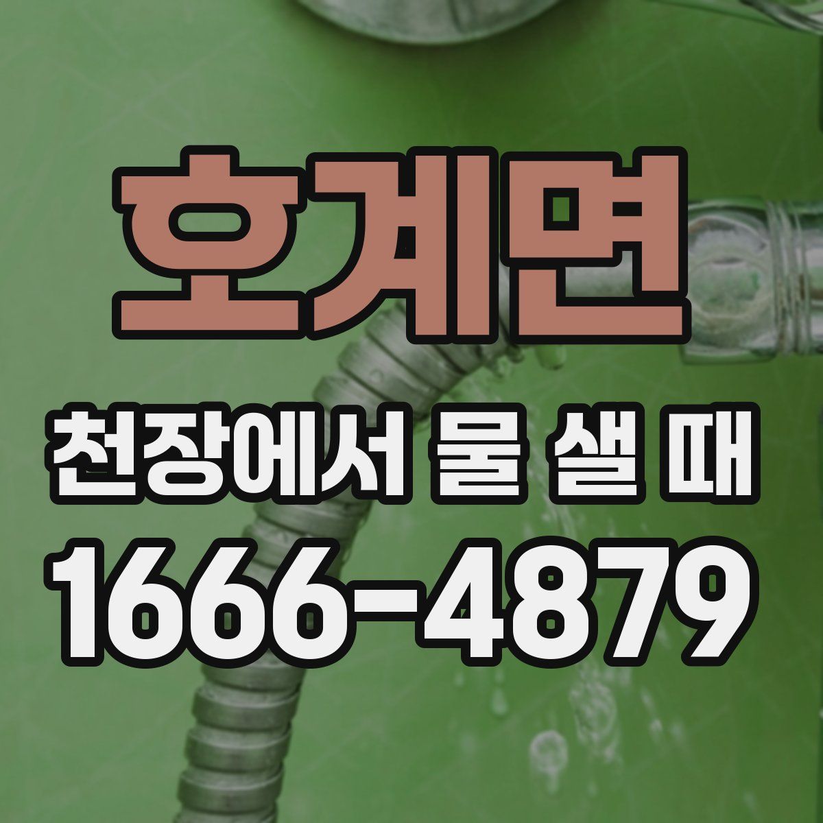 호계면 천장에서 물 샐 때
