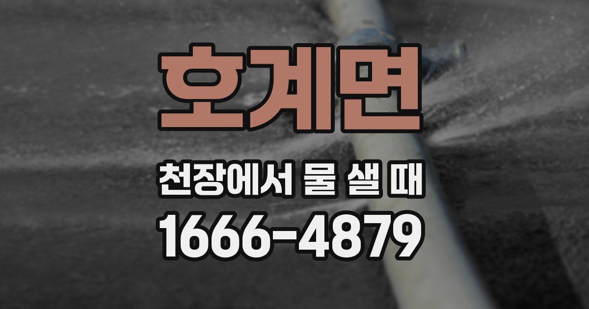 호계면 천장에서 물 샐 때