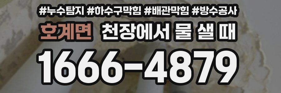 호계면 천장에서 물 샐 때