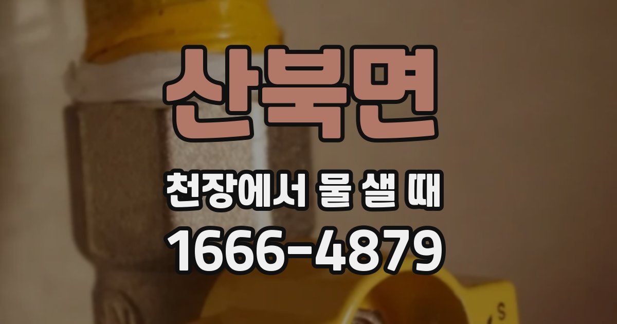 산북면 천장에서 물 샐 때